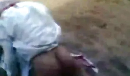 Baisers chauds et porno sinoi lèche.
