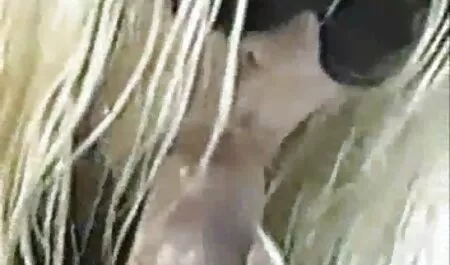 Jeune coq film porno gratuit chinois pour webcam enregistré